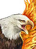 Here's a Harley Davidson Flaming eagle that I had a lot of fun designing. The parameters for this job were fairly confined and the client knew exactly what he wanted. There are many versions of Harley Davidson flaming eagles out there and this one had to fall in line with all of them but not be a duplicate of any of them. A fun project! This job might have created the largest size print at which my art has ever been reproduced. (See the billboard)